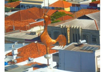 Foto: Cedida pelo Autor (Tiago Rafael dos Santos Alves).