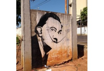 A pichação, o grafite, a história e Adamantina