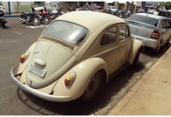 Foto: Acervo Pessoal/Sérgio Barbosa.