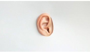 Perda de audio e o risco aumentado de demncia