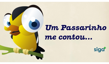 A serenata, o morto e a confusão