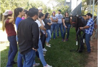 Treinamento foi realizado no Centro de Equoterapia da Apae de Adamantina, onde acontecerão as atividades de reabilitação (Foto: Cedida).