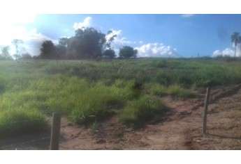 Segundo a Polícia Ambiental, foram suprimidas 31 árvores nativas, em trecho de estrada rural que recebeu melhorias do programa Melhor Caminho (Cedida/Polícia Ambiental).