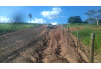 Segundo a Polícia Ambiental, foram suprimidas 31 árvores nativas, em trecho de estrada rural que recebeu melhorias do programa Melhor Caminho (Cedida/Polícia Ambiental).