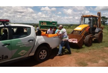 Carne foi apreendida e encaminhada para aterro sanitário, em operação realizada pela Polícia Ambiental, que flagrou abatedouro clandestino e comércio ilegal de carnes (Foto: Cedida/Polícia Ambiental).