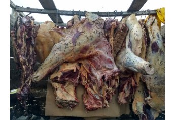 Abatedouro clandestino foi localizado em Emilianopólis. Carne foi descartada, por estar imprópria para consumo (Foto: Cedida/Polícia Ambiental).