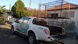 Armadilhas de caça foram apreendidas durante operação, em Pacaembu (Foto: Cedida/Polícia Ambiental).