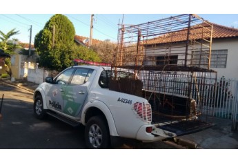 Armadilhas de caça foram apreendidas durante operação, em Pacaembu (Foto: Cedida/Polícia Ambiental).