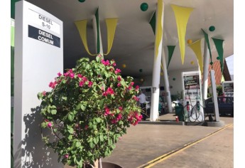 Auto Posto Cocipa de Adamantina, na torcida pela Seleção Brasileira na Copa do Mundo (Foto: Siga Mais).