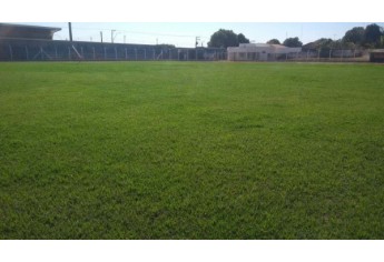 Prefeitura recupera gramado do Estádio Municipal (Foto: Cedida/Selar).