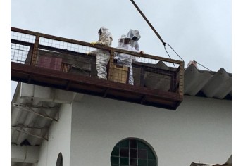 Equipes trabalham na substituição do telhado da Capela Nossa Senhora Aparecida (Foto: Pascom/Paróquia Santo Antônio).