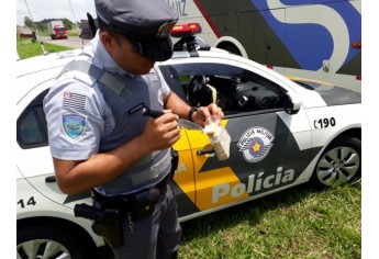 Mais de meio quilo de cocaína estavam na bagagem da passageira, uma vendedora de 22 anos (Foto: Cedida/PM Rodoviária).