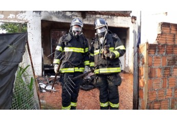 Filhote de cachorro que estava no interior do imóvel foi resgatado pelos Bombeiros (Foto: Corpo de Bombeiros de Osvaldo Cruz / Cedida).