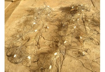 Flagrante da Polícia Ambiental foi no Rio Aguapeí, altura da ponte da divina Adamantina/Valparaíso (Foto: Cedida/Policia Ambiental).