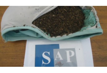 Foto: Cedida/SAP