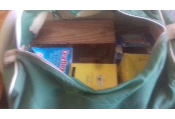 Bolsa de viagem com gaiola e caixas, usadas para transporte dos pássaros  (Foto: Cedida/Polícia Ambiental).