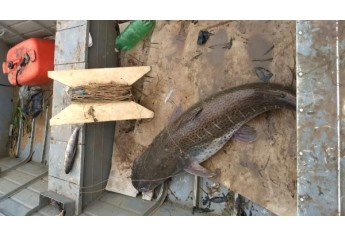 Operação Piracema, da Polícia Militar Ambiental, aconteceu no Salto Botelho, em Lucélia. Foram apreendidos barco, materiais de pesca pescador foi autuado por pesca proibida (Foto: Cedida/Polícia Ambiental).