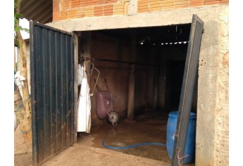 Abatedouro clandestino foi localizado em Emilianopólis. Carne foi descartada, por estar imprópria para consumo (Foto: Cedida/Polícia Ambiental).