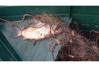 Operação Piracema, da Polícia Militar Ambiental, aconteceu no Salto Botelho, em Lucélia. Foram apreendidos barco, materiais de pesca pescador foi autuado por pesca proibida (Foto: Cedida/Polícia Ambiental).
