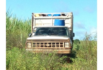 Abatedouro clandestino foi localizado em Emilianopólis (Foto: Cedida/Polícia Ambiental).