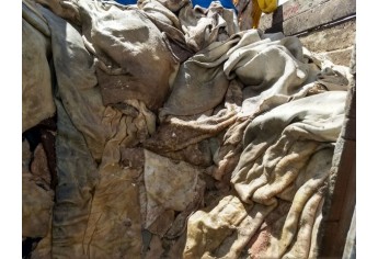 Abatedouro clandestino foi localizado em Emilianopólis. Carne foi descartada, por estar imprópria para consumo (Foto: Cedida/Polícia Ambiental).