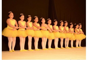 Espaço Vip apresenta 50 alunas e 12 coreografias, nesta segunda-feira (7), no IV Festival de Verão (Foto: Divulgação).