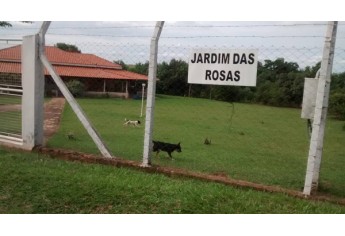 Chácara Jardim das Rosas, localizada em Bastos, e doada por Aparecida Cardoso Nórcia ao Lar dos Velhos de Adamantina (Foto: Arquivo Pessoal).