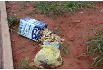 Moradores jogam lixo no local, contribuindo para a depreciação da área verde (Foto: Cedida).