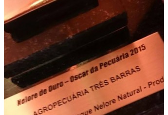 Troféu Nelore de Ouro, conferido pela Associação dos Criadores de Nelore do Brasil (ACNB) à Agropecuária Três Barras (Foto: Arquivo Pessoal).