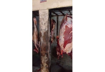 Carne foi apreendida e encaminhada para aterro sanitário, em operação realizada pela Polícia Ambiental, que flagrou abatedouro clandestino e comércio ilegal de carnes (Foto: Cedida/Polícia Ambiental).