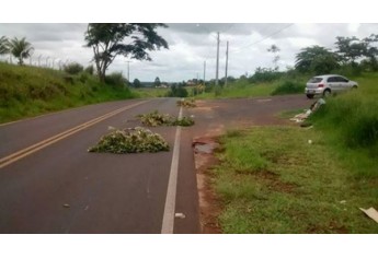Restos de poda de árvores caem dos caminhões e ficam sobre a rodovia (Foto: Cedida).