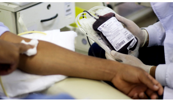 Nova lei em Mariápolis autoriza faltas, sem descontos em salários, para servidores doarem sangue