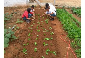 Estudantes realizam atividades teóricas e práticas com o cultivo de horta (Foto: Cedida).
