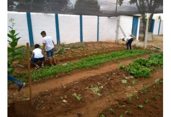 Estudantes realizam atividades teóricas e práticas com o cultivo de horta (Foto: Cedida).