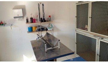 Procedimentos são realizados em uma clínica veterinária de Dracena  (Divulgação).