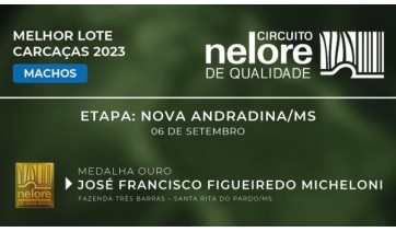 Medalha de ouro para a Agropecuria Trs Barras, pelo Circuito Nelore de Qualidade 2023 (Reproduo).