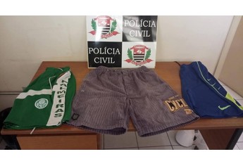 Objetos localizados pela Polícia Civil de Adamantina com autor de furtos. Com a divulgação instituição busca identificar novas vítimas (Foto: DIG Adamantina)