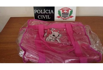 Objetos localizados pela Polícia Civil de Adamantina com autor de furtos. Com a divulgação instituição busca identificar novas vítimas (Foto: DIG Adamantina)