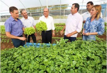 Incentivos do Governo de SP fortalecem produção agrícola na região de Adamantina (Foto:: A2img / Gilberto Marques).