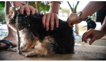 Etapa acontece na Casa Afro (Imagem ilustrativa: Marcelo Camargo/Agencia Brasil).