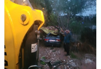 Estragos causados pelo temporal em Lucélia (Cedida/Defesa Civil Municipal).