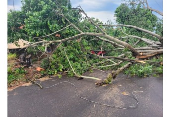 Estragos causados pelo temporal em Lucélia (Cedida/Defesa Civil Municipal).