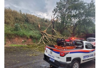 Estragos causados pelo temporal em Lucélia (Cedida/Defesa Civil Municipal).