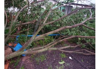 Estragos causados pelo temporal em Lucélia (Cedida/Defesa Civil Municipal).