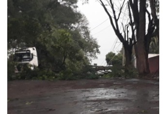 Estragos causados pelo temporal em Lucélia (Cedida/Defesa Civil Municipal).
