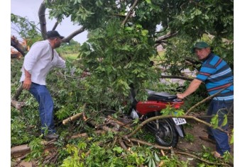 Estragos causados pelo temporal em Lucélia (Cedida/Defesa Civil Municipal).
