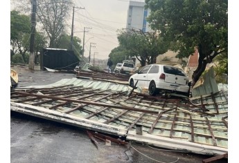 Estragos causados pelo temporal em Lucélia (Cedida/Defesa Civil Municipal).
