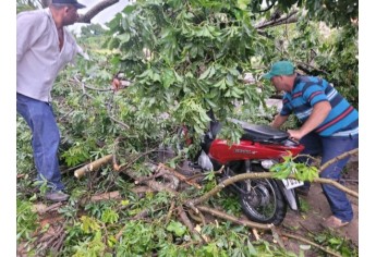 Estragos causados pelo temporal em Lucélia (Cedida/Defesa Civil Municipal).