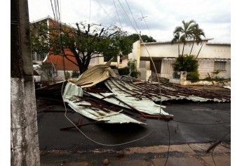 Estragos causados pelo temporal em Lucélia (Cedida/Defesa Civil Municipal).