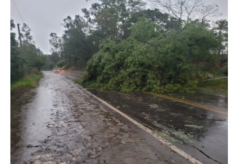 Estragos causados pelo temporal em Lucélia (Cedida/Defesa Civil Municipal).Estragos causados pelo temporal em Lucélia (Cedida/Defesa Civil Municipal).